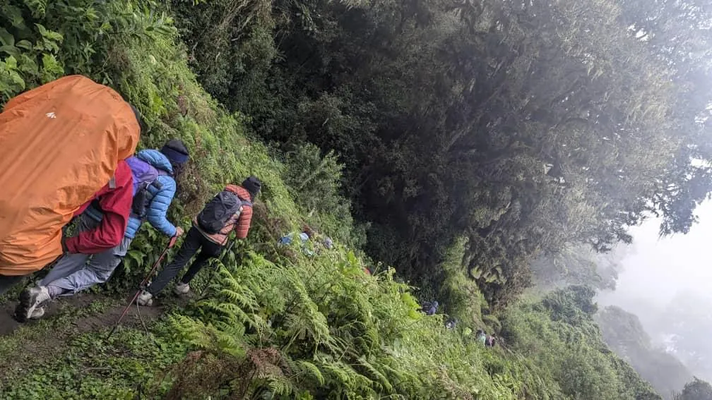 Mount Kilimanjaro trekking landscape